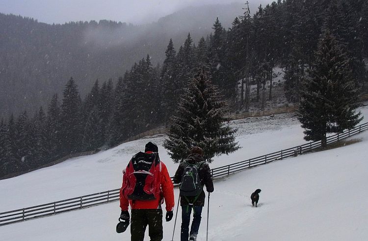 Wintersport ganz ohne Ski – Alternativen in den Alpen