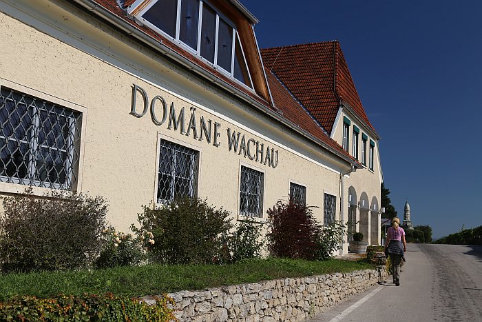 Niederösterreich Wachau Domäne Wein