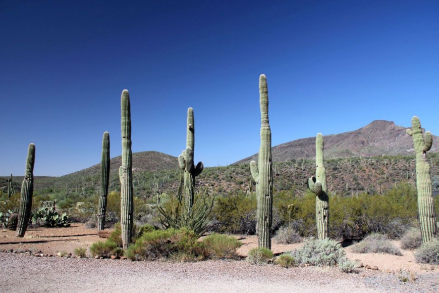 Iphofen Mittelalterliche Weinstadt in Franken just luxe TRAVEL